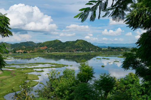 photo of Keibul Lamjao National Park